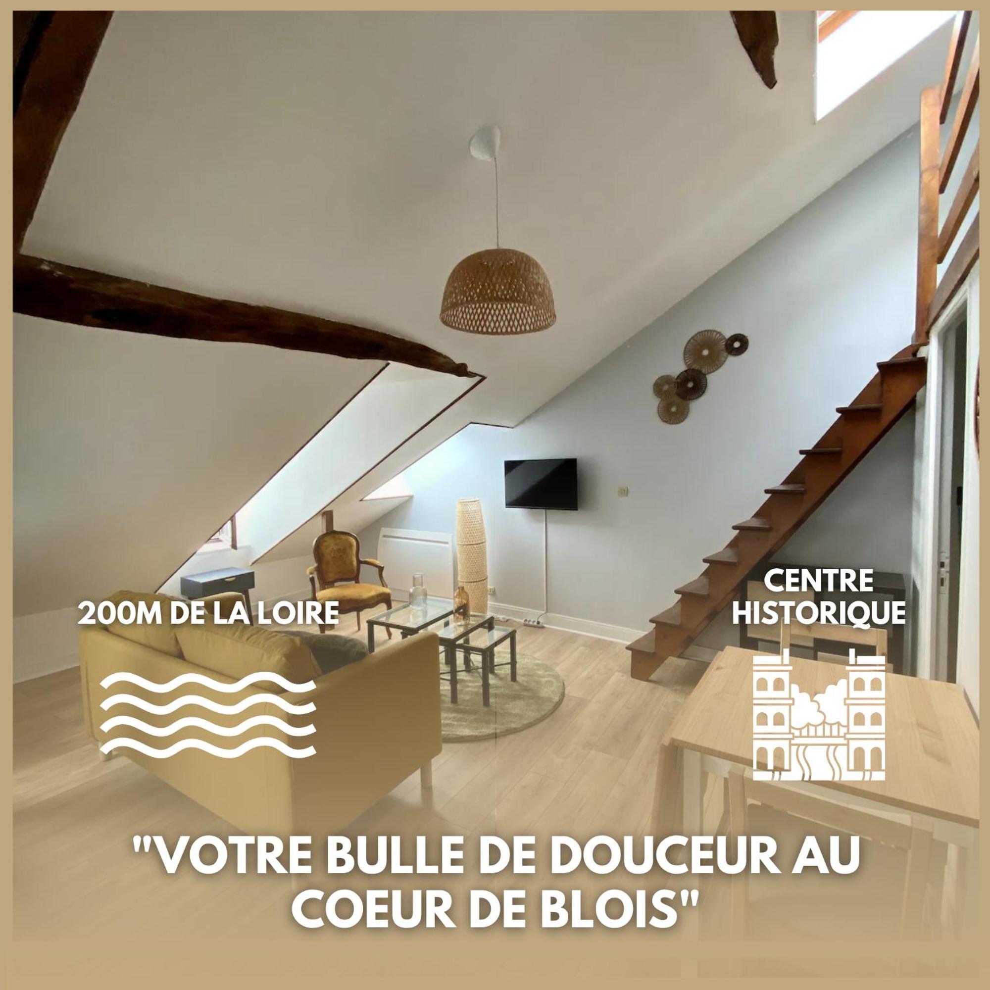 בלואה Le Cocon - Appartement En Hyper Centre מראה חיצוני תמונה